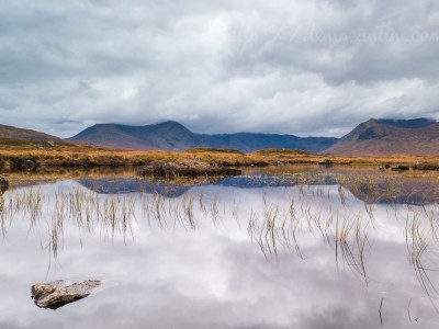 Rannoch Moor, le royaume de la tourbe