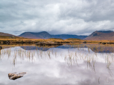 Rannoch Moor, le royaume de la tourbe