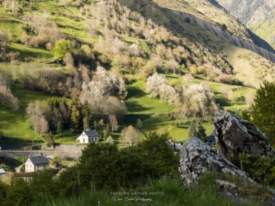 Le soleil a peit une superbe toile de ses rayons dorés, formidable spectacle sur Garde Loup