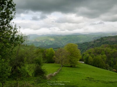 Une jolie vallée bien verte au Pays Basque