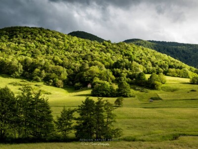 Un endroit magnifique un peu à l'écart des montagnes, les Barronnies mêlent la forêt, les vertes prairies et de jolis cours d'eau