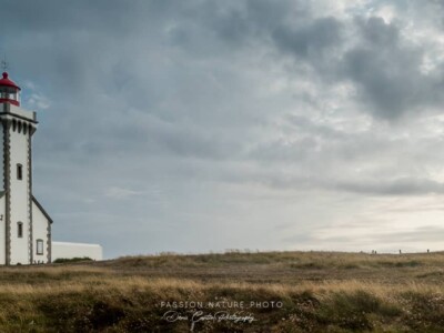 Le Phare des Poulains à la pointe nord de l'île