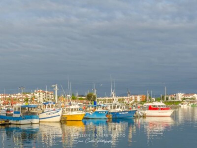 St Jean de Luz au Pays Basque, panorama sur les belles couleurs du port
