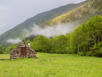 Après la pluie, le soleil se montre et la brume monte, le photographe ebahi s'arrête et l'instant saisit